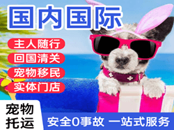 巴中恩阳机场货运国际宠物托运 【国